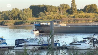 Plezierbootje en cargoboot komen in aanvaring op Schelde in Temse