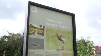 Natuurpunt ontgoocheld dat gemeente Laarne niet meestapt in Nationaal Park Scheldevallei