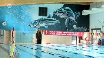 De grote renovatie van zwembad De Kleine Dender in Ninove schuift opnieuw op