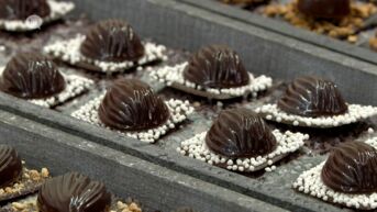 Belcolade plant 100 nieuwe jobs in 'eerste koolstofneutrale chocoladefabriek' in Aalst
