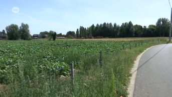 Boerenbond eerder bezorgd over erkenning Vlaamse parken: 