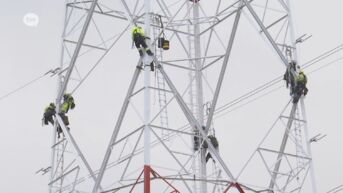 Elia verzwaart bovengrondse elektriciteitslijnen Kallo-Kruibeke voor komende elektrificeringsgolf