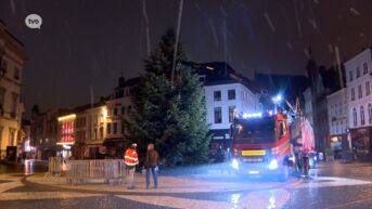 Nieuwe kerstboom schittert op Grote Markt, net op tijd voor Aalst Twinkelt
