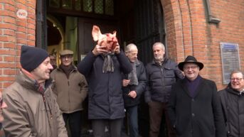Sint-Antonius wordt gevierd in Puivelde, en dan worden er varkenskoppen verkocht aan de kerk