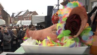 Uniek stukje folklore én Vlaams immaterieel erfgoed: de Sint-Antoniusviering in Iddergem