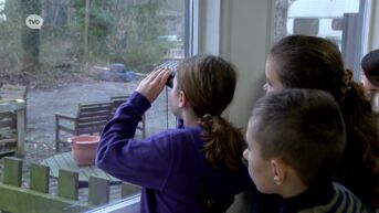 Ook leerlingen van Freinetschool in Gijzegem doen mee aan grootste tuinvogelonderzoek van Vlaanderen