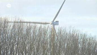 Stadsbestuur Ninove verzet zich tegen de komst van twee windturbines in oude industriezone