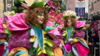15.000 toeschouwers wonen kletsnatte carnaval in Ninove bij