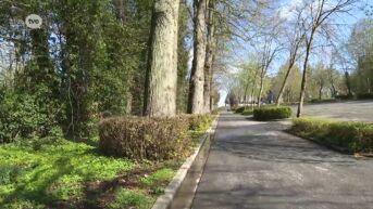 Oost-Vlaanderen sluit vanmiddag provinciale domeinen en bossen vanwege stormweer