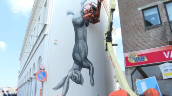 Mural van streetartkunstenaar ROA maakt deel uit van vernieuwing stadsmuseum in Lokeren