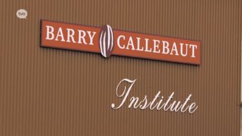 Herstructurering Barry Callebaut: 