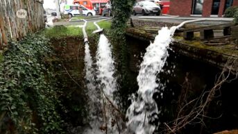 Belsele: lek in waterleiding zet kelder van landmeterskantoor volledig onder water