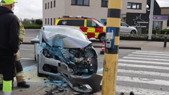 Bestuurder zwaargewond na frontale klap tegen verkeerslicht in Ninove