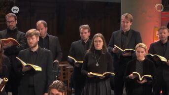 Zondag voeren ze in Hamme de Mattheuspassie van Bach op, 140 muzikanten en koorleden op het podium