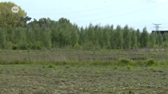 Stadsbos Puitvoet in Sint-Niklaas breidt uit met nog eens 2,5 hectare