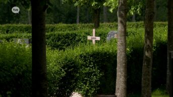 Meer vraag naar natuurlijke begraafplaatsen, stad Zottegem plant urnenbos