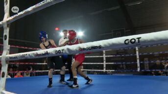 Boksgala in Boxing Club Temse groot succes: 