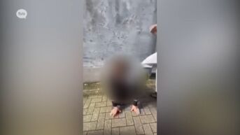 Twee minderjarigen opgepakt en geplaatst na vechtpartij in Hamme
