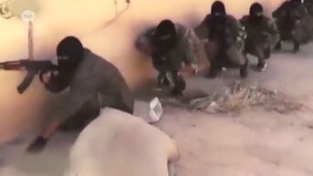 Kruibekenaar duikt als Syriëstrijder op in gelekte IS-documenten