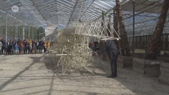 Belgische primeur: 'Strandbeesten' komen naar museum in Kemzeke