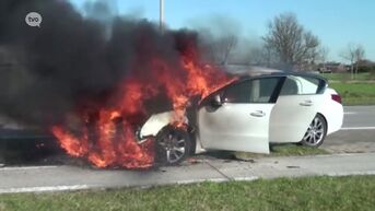 Auto brandt volledig uit in Zele