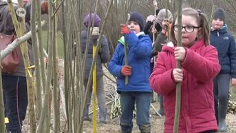 Aalsterse schoolkinderen planten bijvriendelijke bomen