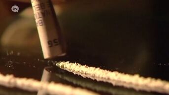 Netwerk van cocaïnedealers opgerold