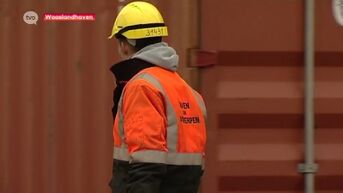 Havenarbeiders stemmen in met wijziging 'wet-Major' op havenarbeid