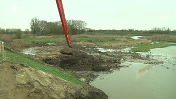 Sigmaplan Berlare: Dijkproeven aan overstromingsgebied