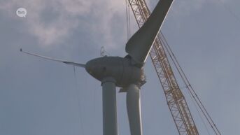 Bouw windturbines Haaltert gaat onverminderd door ondanks bezwaren gemeente