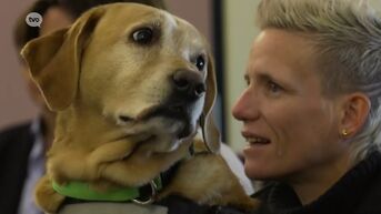 Marieke Vervoort gehuldigd voor uitzonderlijke inzet voor assistentiehonden