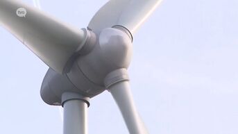 Haaltert beveelt stopzetting werken windturbines