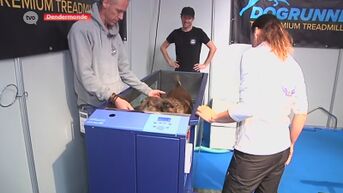 Frontman Janez Detd brengt onderwaterloopband voor honden op de markt